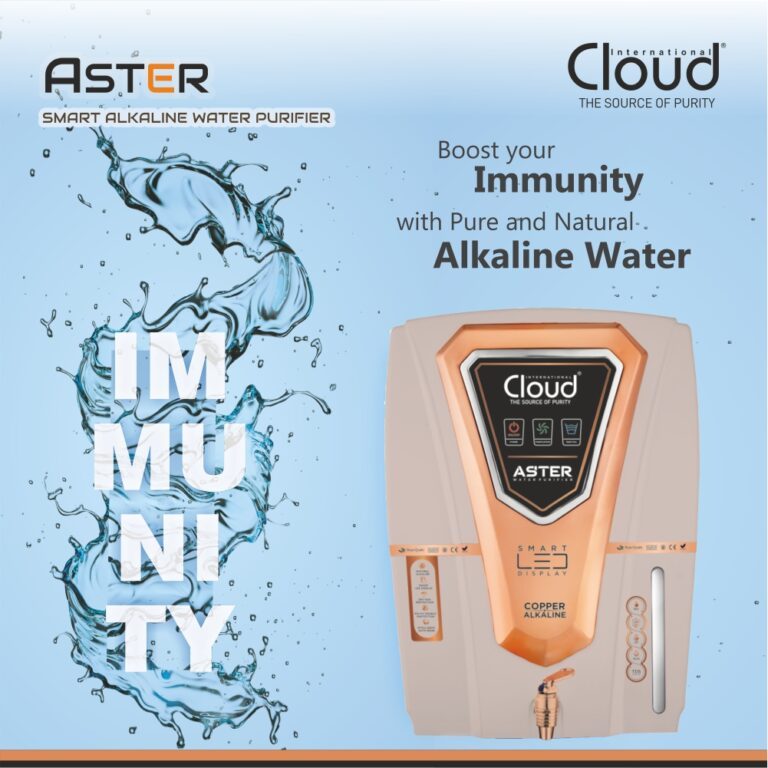 Aster water filter